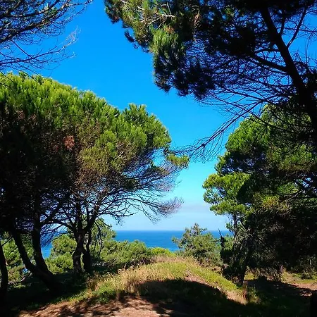 Casa Das Rolas Holiday home